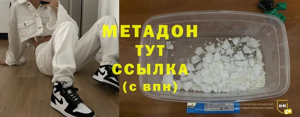 прущие грибы Абинск