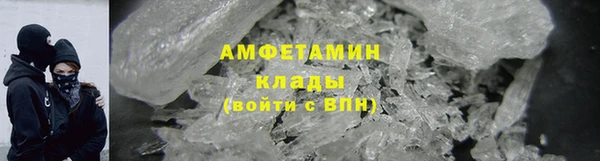 прущие грибы Абинск