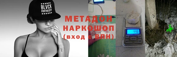 прущие грибы Абинск