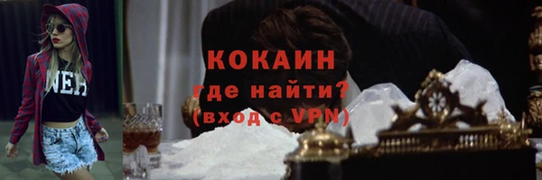 индика Зеленодольск