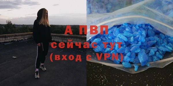 прущие грибы Абинск