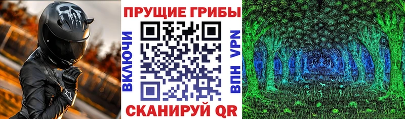 где можно купить Брянск Псилоцибиновые грибы Psilocybine cubensis